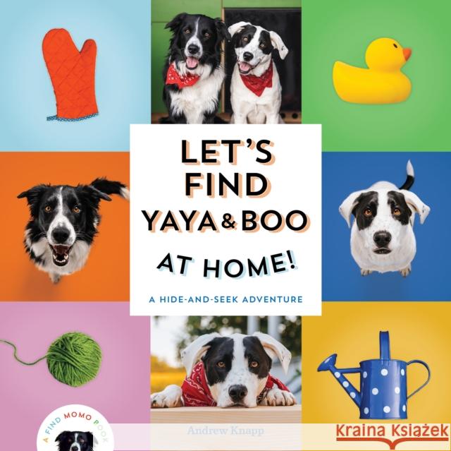 Let's Find Yaya and Boo at Home!: A Hide-and-Seek Adventure Andrew Knapp 9781683693666 Quirk Books - książka