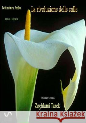 Letteratura Araba La rivoluzione delle calle Tarek Zoghlami 9780244184148 Lulu.com - książka
