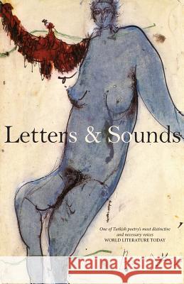 Letters & Sounds Ilhan Berk George Messo  9780957597730 Red Hand Books - książka