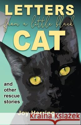 Letters from a Little Black Cat: and other rescue stories Joy Herring 9780645174601 Joy Herring - książka