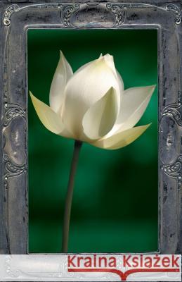 Letting the Lotus Bloom: The Expression of Soul Through Flowers Kevin Joel Kelly 9781625504340 Llumina Press - książka