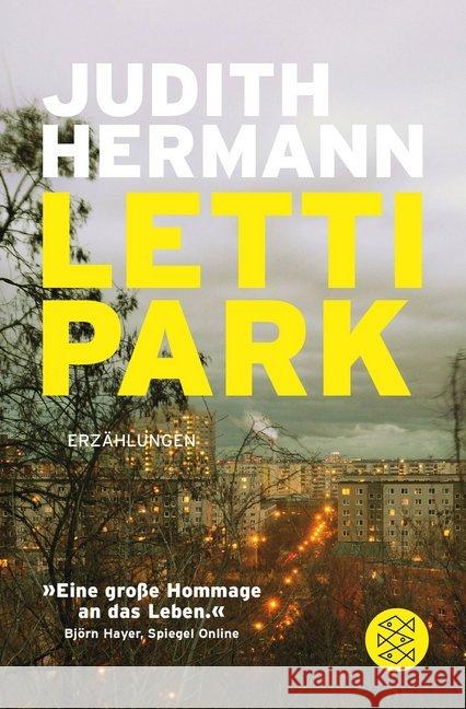 Lettipark : Erzählungen Hermann, Judith 9783596035755 FISCHER Taschenbuch - książka