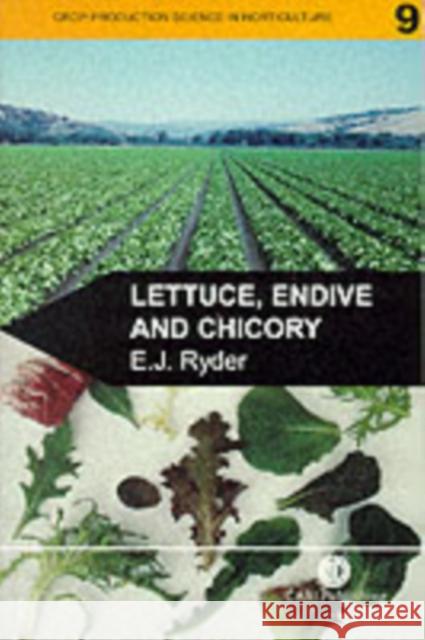 Lettuce, Endive and Chicory Edward J. Ryder E. J. Ryder 9780851992853 CABI Publishing - książka