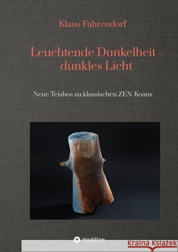 Leuchtende Dunkelheit - dunkles Licht Fahrendorf, Klaus 9783347785281 tredition - książka