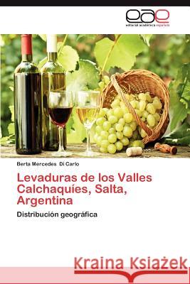 Levaduras de Los Valles Calchaquies, Salta, Argentina Berta Mercedes D 9783659024139 Editorial Acad Mica Espa Ola - książka