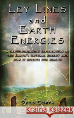 Ley Lines and Earth Energies: An Extraordinary Journey Into the Earth's Natural Energy System David R. Cowan Chris Arnold David Hatcher Childress 9781931882156 Adventures Unlimited Press - książka