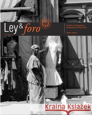 Ley y foro 2014: Hogar seguro Gil Ayala, Carlos C. 9781514133453 Createspace - książka