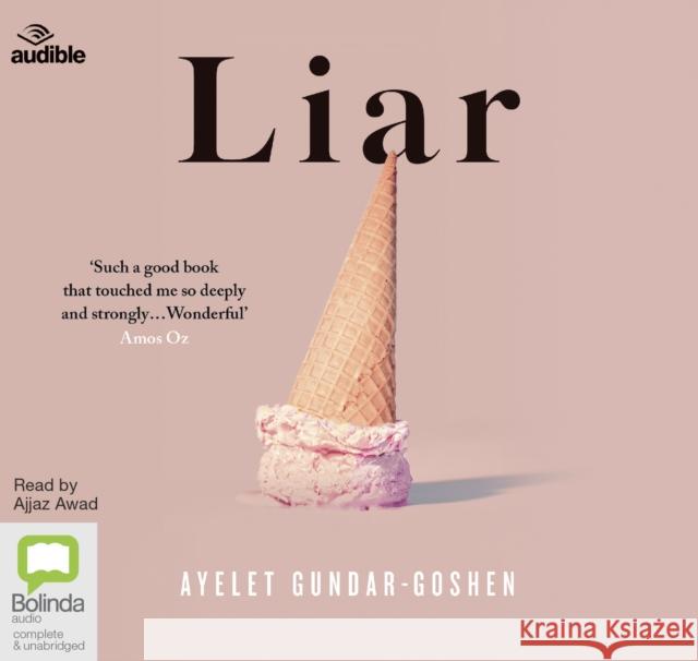 Liar Ayelet Gundar-Goshen 9780655624066 Bolinda Publishing - książka