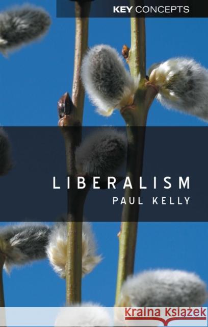 Liberalism Paul Kelly P. J. Kelly 9780745632919 Polity Press - książka