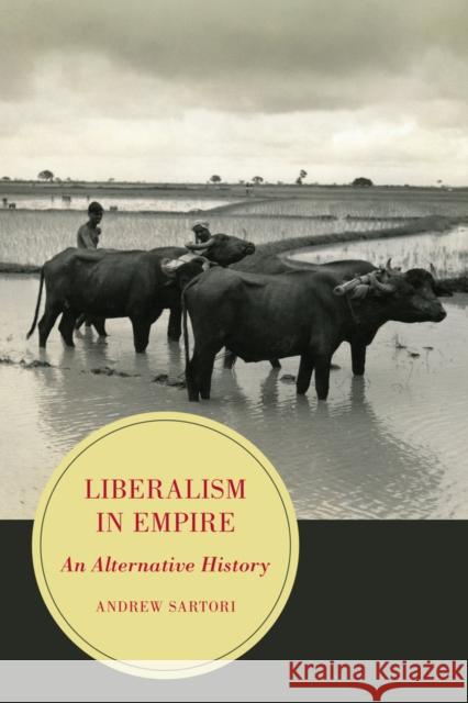 Liberalism in Empire: An Alternative History Volume 8 Sartori, Andrew Stephen 9780520281684 John Wiley & Sons - książka