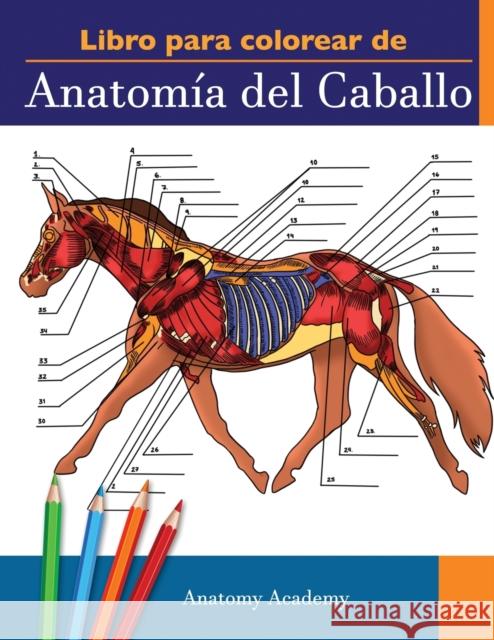 Libro para colorear de Anatomía del Caballo: Libro de Colores de Autoevaluación muy Detallado de la Anatomía Equina El Regalo Perfecto Para Estudiante Academy, Anatomy 9781914207310 Muze Publishing - książka