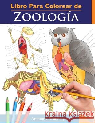 Libro Para Colorear de Zoología: Libro de Colores de Autoevaluación Muy Detallado de la Anatomía Animal El Regalo perfecto para Estudiantes de Veterin Academy, Anatomy 9781914207402 Muze Publishing - książka