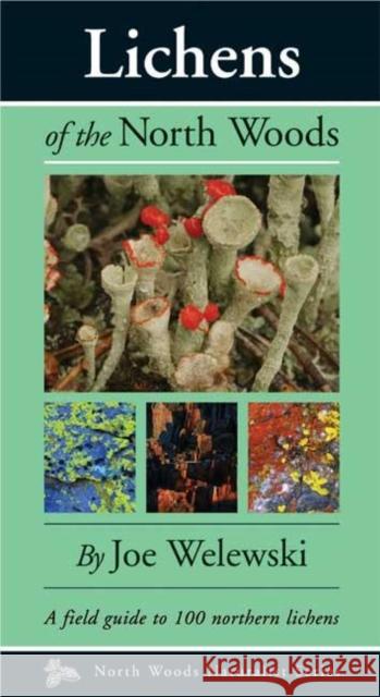 Lichens of the North Woods Joe Walewski 9780979200601 Kollath-Stensaas - książka