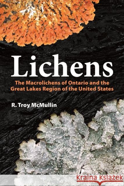Lichens: The Macrolichens of Ontario and the Great Lakes Region of the United States R Troy McMullin 9780228103691 Firefly Books Ltd - książka