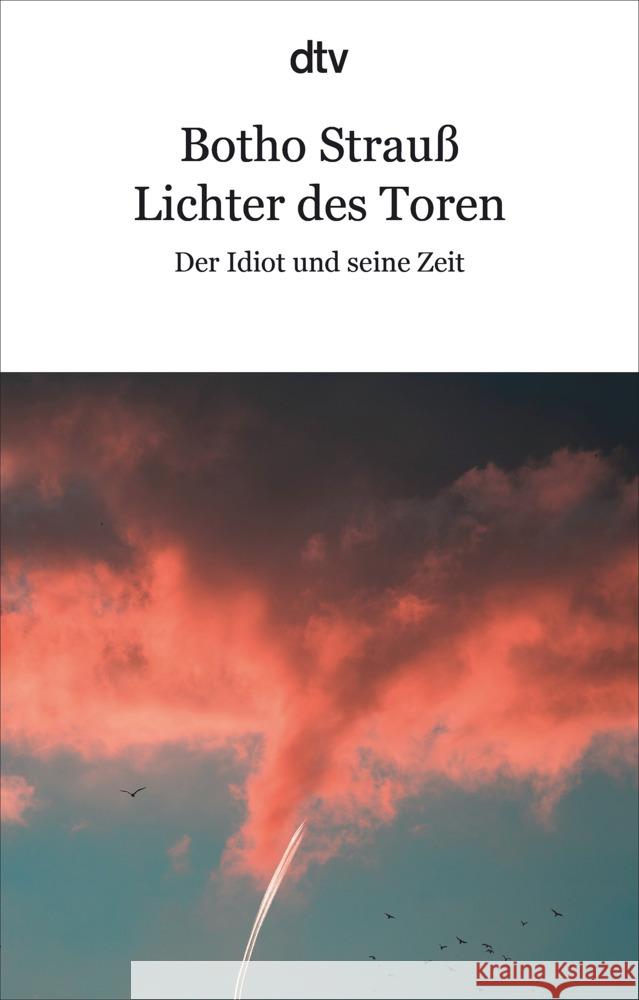 Lichter des Toren Strauß, Botho 9783423148627 DTV - książka