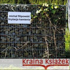 Licytacja kamienia Michał Filipowski 9788367460163 Forma - książka