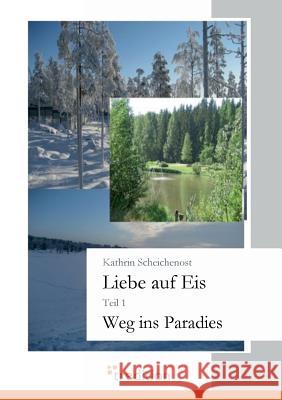 Liebe Auf Eis Scheichenost, Kathrin 9783868501117 Tredition - książka