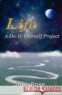 Life: A Do-It-Yourself Project: One Woman's Journey Discovering Life's Riches June Rose 9781460967270 Createspace - książka