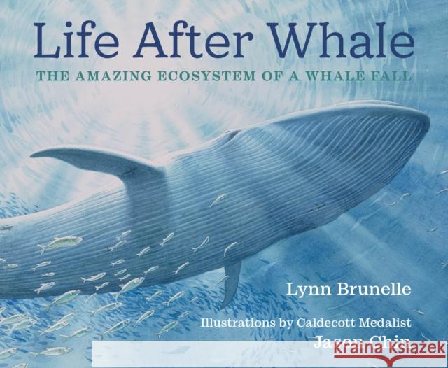 Life After Whale: The Amazing Ecosystem of a Whale Fall Lynn Brunelle Jason Chin 9780823452286 Neal Porter Books - książka