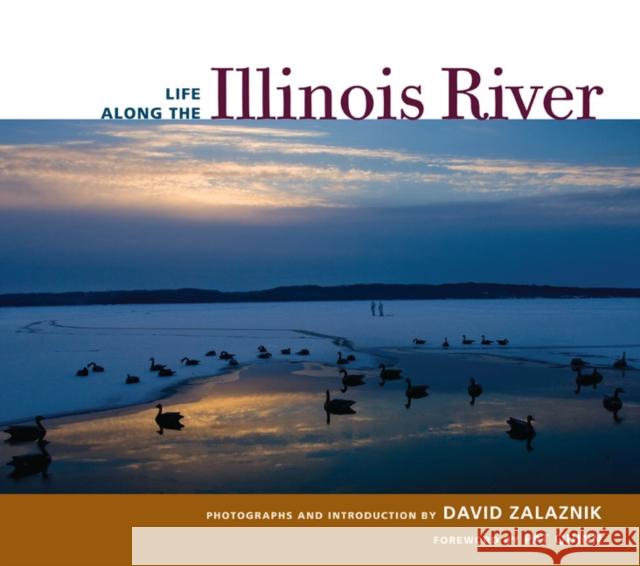 Life Along the Illinois River David Zalaznik David Zalaznik Patrick F. Quinn 9780252033933 University of Illinois Press - książka