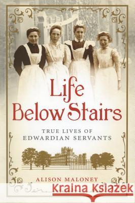Life Below Stairs Alison Maloney 9781250017659 Thomas Dunne Books - książka