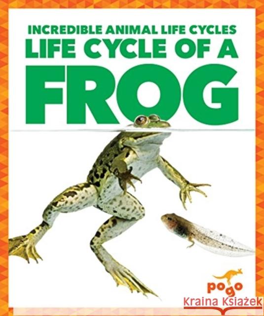 Life Cycle of a Frog Karen Kenney 9781624968099 Jump! Incorporated - książka