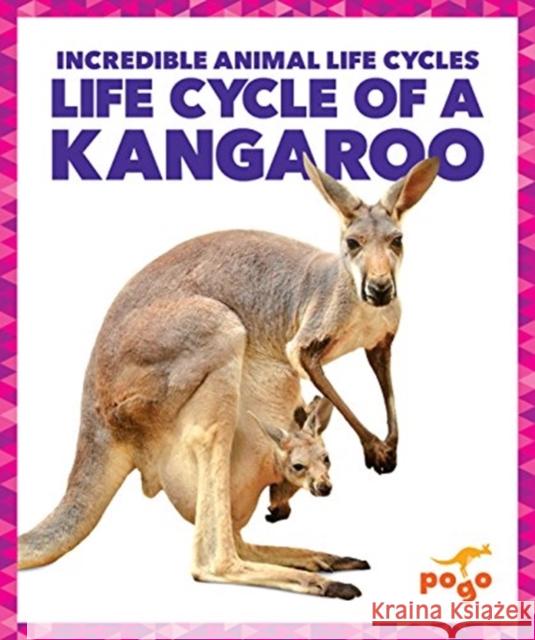 Life Cycle of a Kangaroo Karen Kenney 9781624968150 Jump! - książka