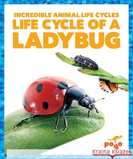 Life Cycle of a Ladybug Karen Kenney 9781624968181 Jump! Inc. - książka