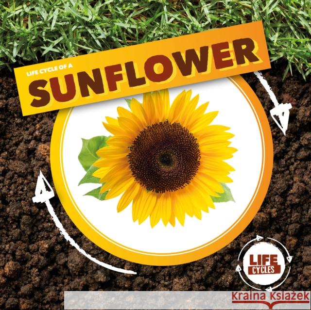 Life Cycle of a Sunflower Kirsty Holmes, Lydia Williams 9781839274732 BookLife Publishing - książka