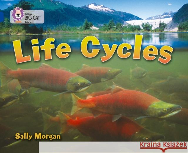 Life Cycles: Band 16/Sapphire Sally Morgan 9780007336401 HarperCollins Publishers - książka