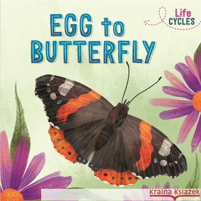 Life Cycles: Egg to Butterfly Rachel Tonkin 9781526310224 Hachette Children's Group - książka