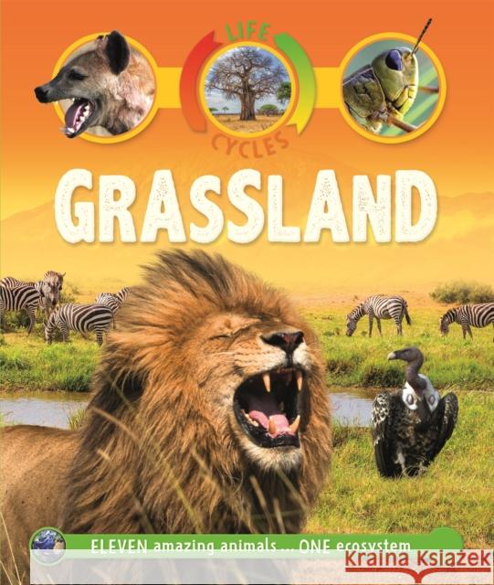 Life Cycles: Grassland Sean Callery 9780753442791 Pan Macmillan - książka
