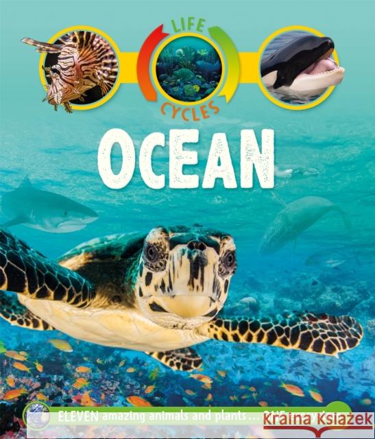 Life Cycles: Ocean Sean Callery 9780753442814 Pan Macmillan - książka