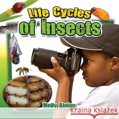 Life Cycles of Insects Molly Aloian 9780778712824 Crabtree Publishing Company - książka
