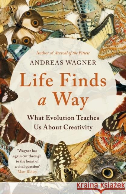 Life Finds a Way: What Evolution Teaches Us About Creativity Wagner, Andreas 9781786077738 Oneworld Publications - książka