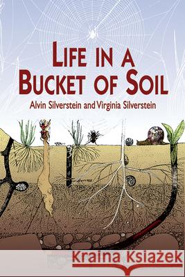 Life in a Bucket of Soil Alvin Silverstein Virginia Silverstein Charles Ed. Silverstein 9780486410579 Dover Publications - książka