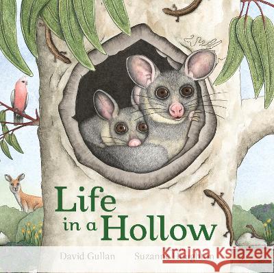 Life in a Hollow David Gullan Suzanne Houghton 9781486316342 CSIRO Publishing - książka