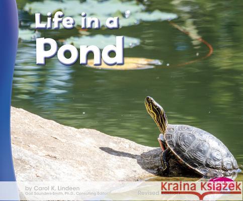 Life in a Pond Carol K. Lindeen 9781515734635 Capstone Press - książka