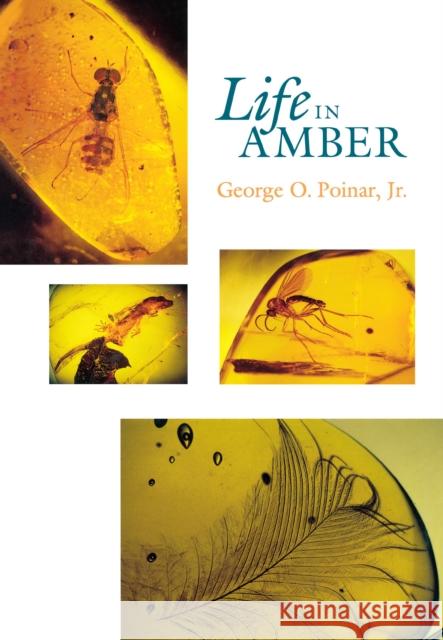 Life in Amber George O., Jr. Poinar 9780804720014 Stanford University Press - książka