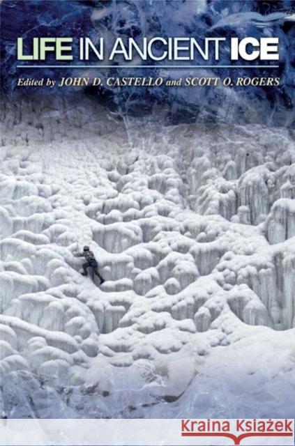 Life in Ancient Ice John D. Castello Scott O. Rogers 9780691074757 Princeton University Press - książka