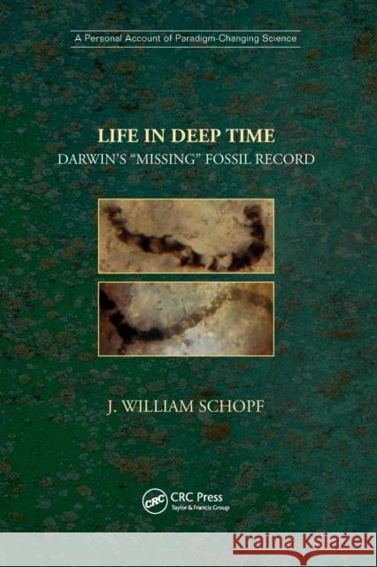 Life in Deep Time: Darwin’s “Missing” Fossil Record J. William Schopf 9781138385498 Taylor & Francis Ltd - książka