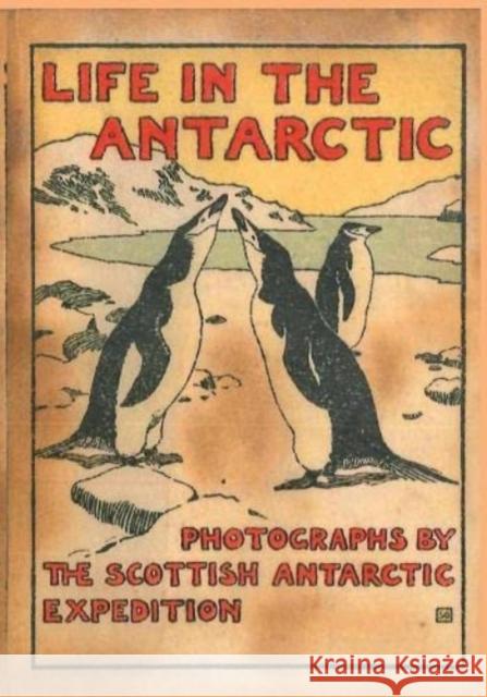 LIFE IN THE ANTARCTIC: Photographs by the Scottish Antarctic Expedition William Speirs Bruce 9781901037166 Reardon Publishing - książka