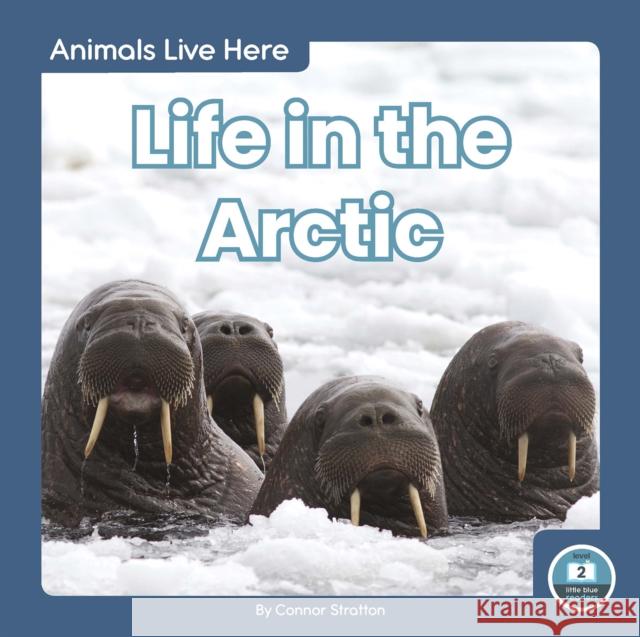 Life in the Arctic Connor Stratton 9781646190584 North Star Editions - książka