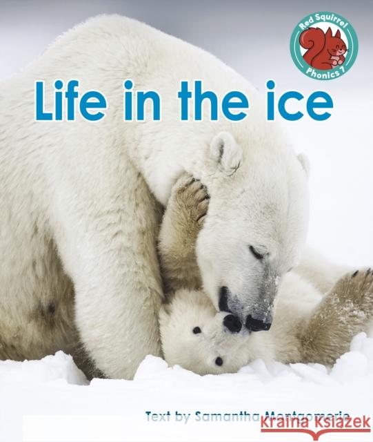 Life in the ice Samantha Montgomerie 9781398252479 Capstone Global Library Ltd - książka