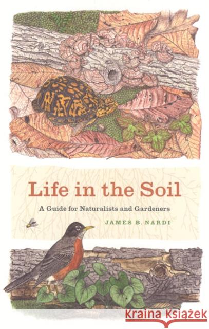 Life in the Soil: A Guide for Naturalists and Gardeners Nardi, James B. 9780226568522 The University of Chicago Press - książka