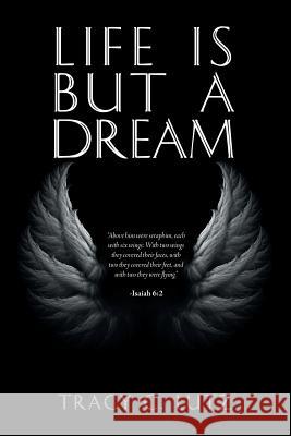 Life Is but a Dream Lutz, Tracy 9781532040245 iUniverse - książka