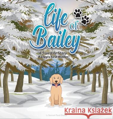 Life of Bailey: Bailey's First Winter Sensei Paul David 9781990106316 Senseipublishing - książka