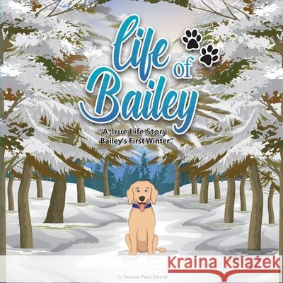 Life of Bailey: Bailey's First Winter Sensei Paul David 9781990106323 Senseipublishing - książka