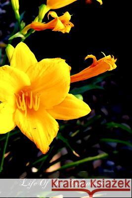 Life Of St. Columban Wilson M. a., James 9781468130645 Createspace - książka