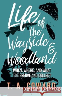 Life of the Wayside and Woodland: When, Where, and What to Observe and Collect T a Coward 9781528701648 Read Books - książka
